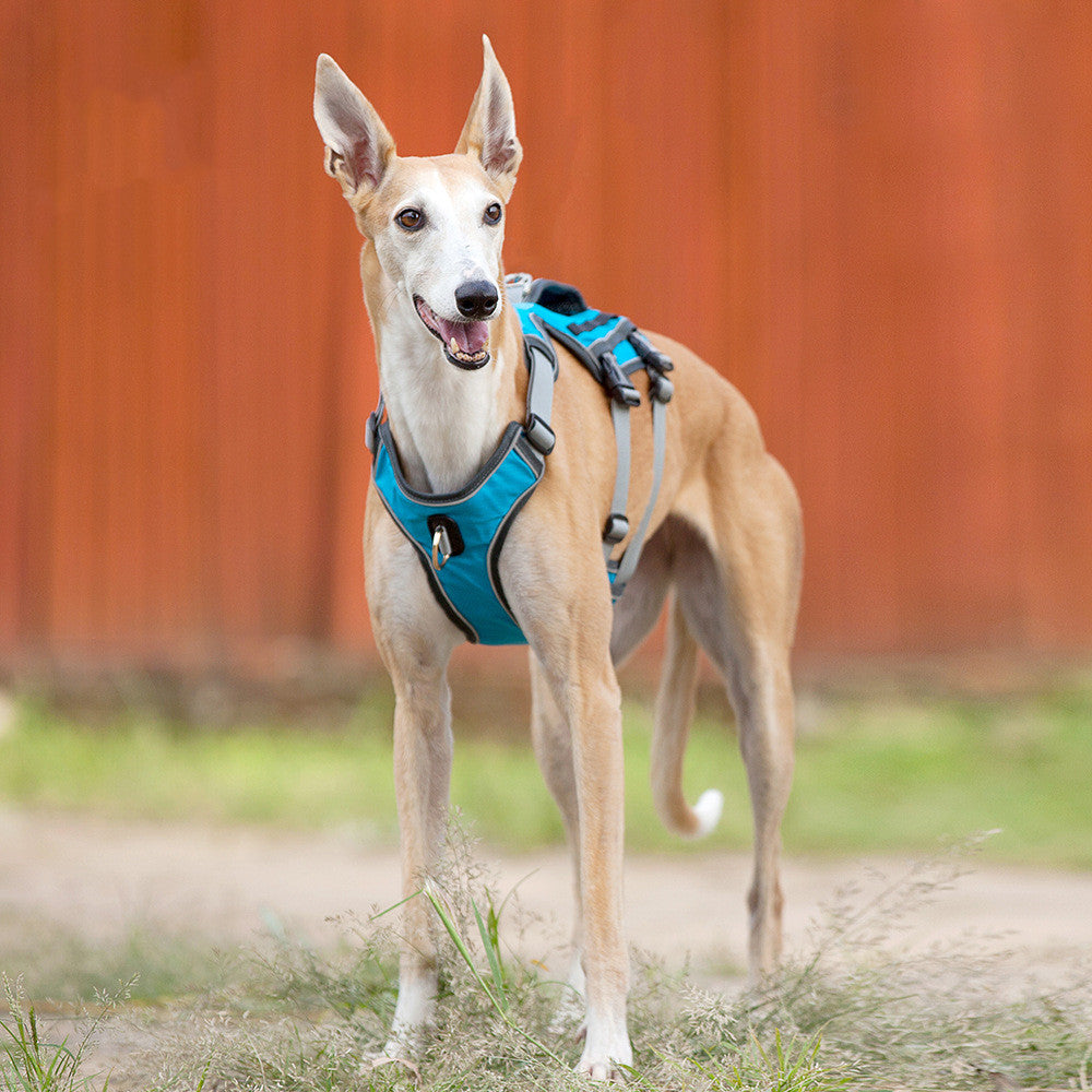 KFX-1484605 Reflective and Breathable Pet Chest Harness with Adjustable Traction Rope