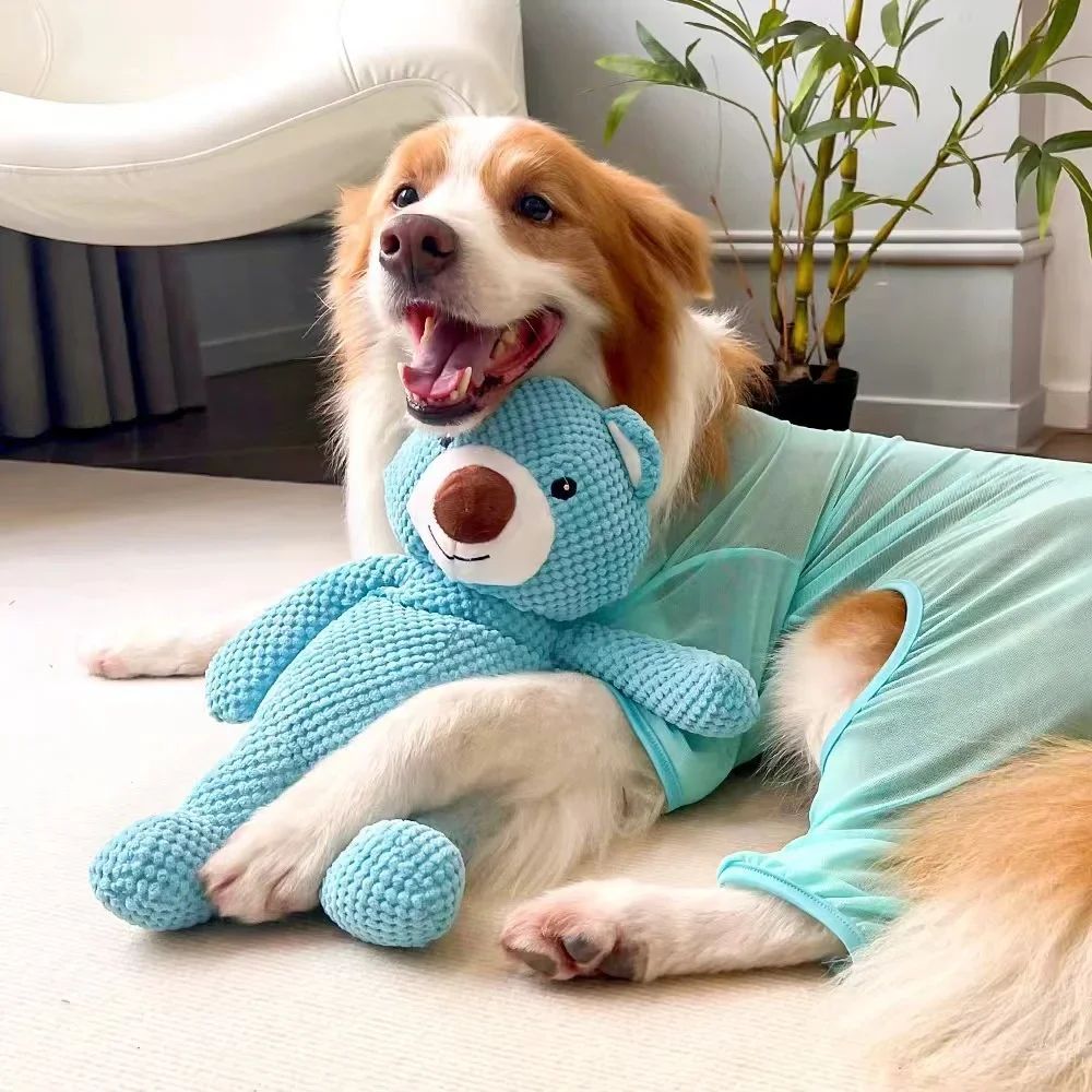 KFX-1484989 Soft Plush Bear Squeaky Toy for Dogs - Chew and Dental Training Aid for Puppies