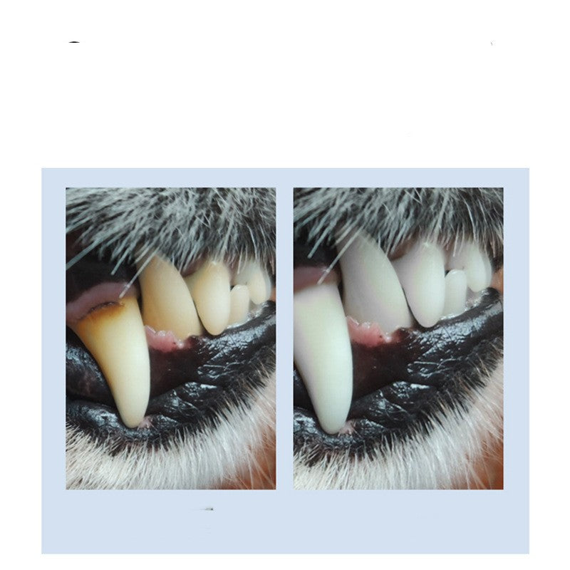 KFX-1486909 Universal Edible Toothpowder for Pet Dental Care