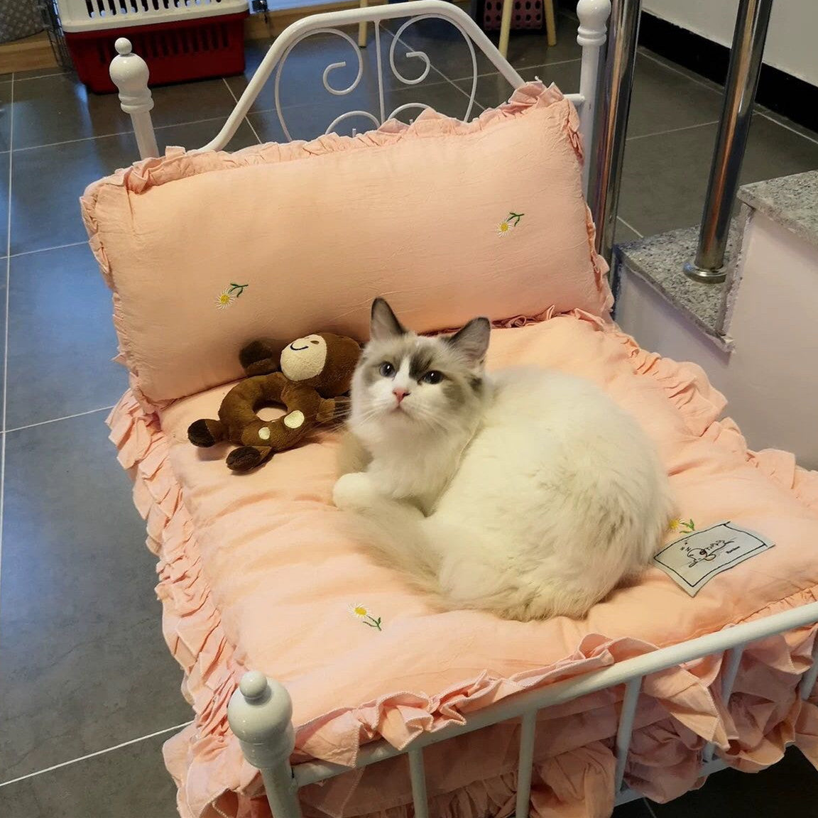 KFX-1489725 Cozy High-Density Sponge Pet Bed with Washable Cotton Cover - Sizes M, L, XL Available