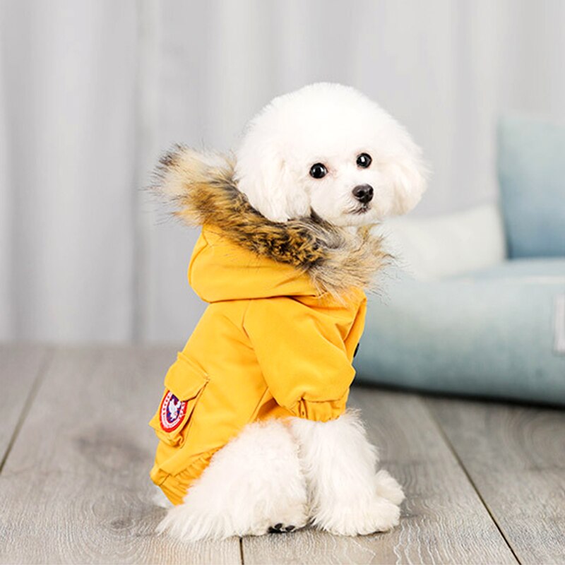 KFX-1490749 Cozy Polyester and Cotton Pet Dog Wool Hat for Stylish Comfort