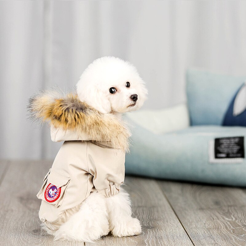 KFX-1490749 Cozy Polyester and Cotton Pet Dog Wool Hat for Stylish Comfort