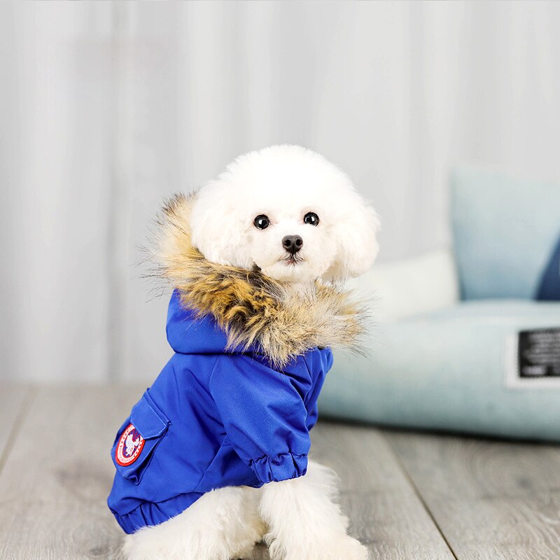 KFX-1490749 Cozy Polyester and Cotton Pet Dog Wool Hat for Stylish Comfort