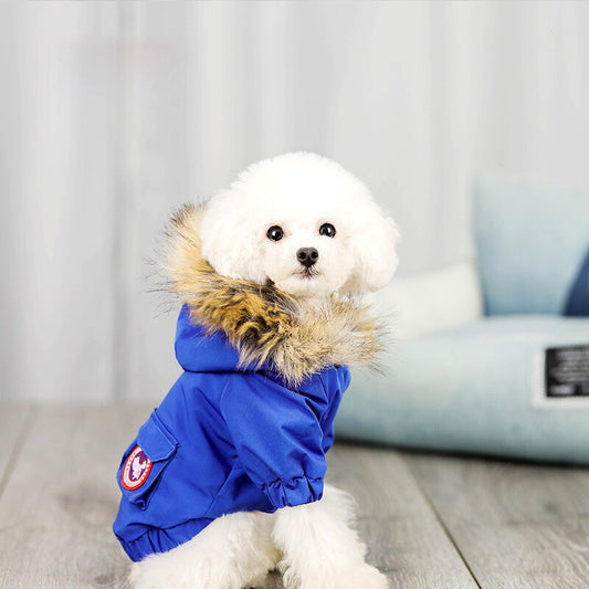 KFX-1490749 Cozy Polyester and Cotton Pet Dog Wool Hat for Stylish Comfort