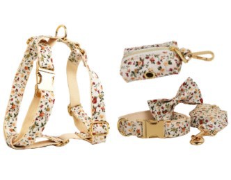 KFX-1492541 Elegant Floral Dog Collar Set with Leash, Bow, Vest, and Poop Bag