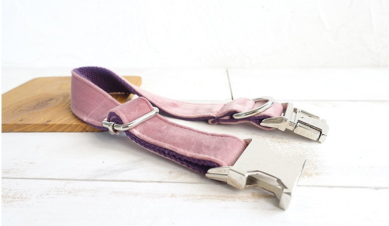 KFX-1493053 Durable Polyester Pet Traction Collar for Dogs
