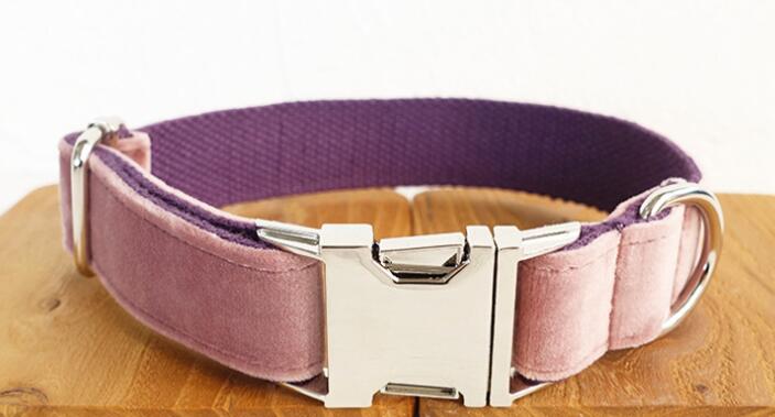 KFX-1493053 Durable Polyester Pet Traction Collar for Dogs