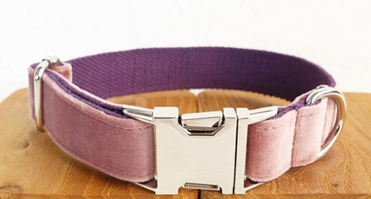 KFX-1493053 Durable Polyester Pet Traction Collar for Dogs