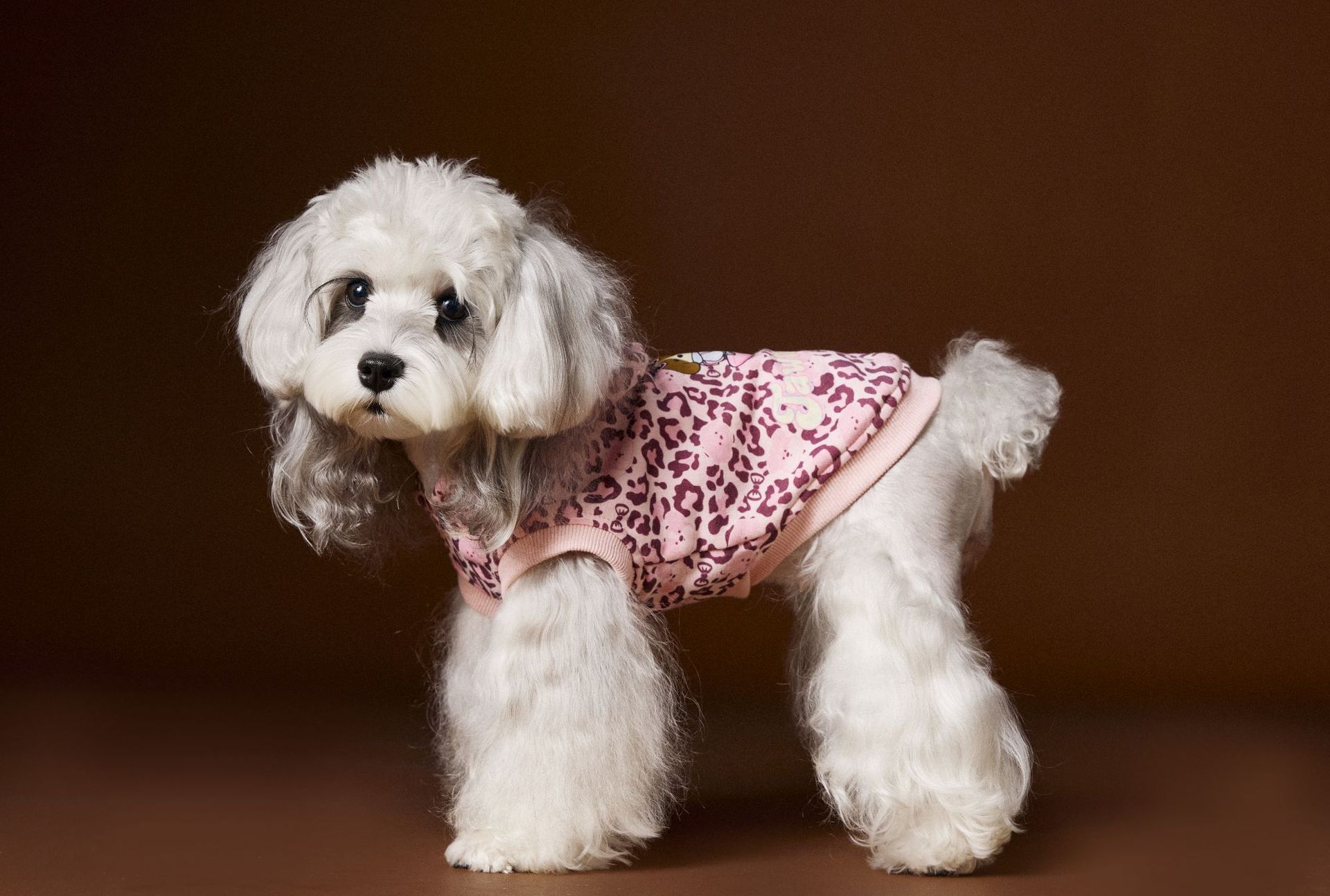 KFX-1495613 Leopard Print Hooded Sleeveless Sweater for Pets in Coffee and Pink