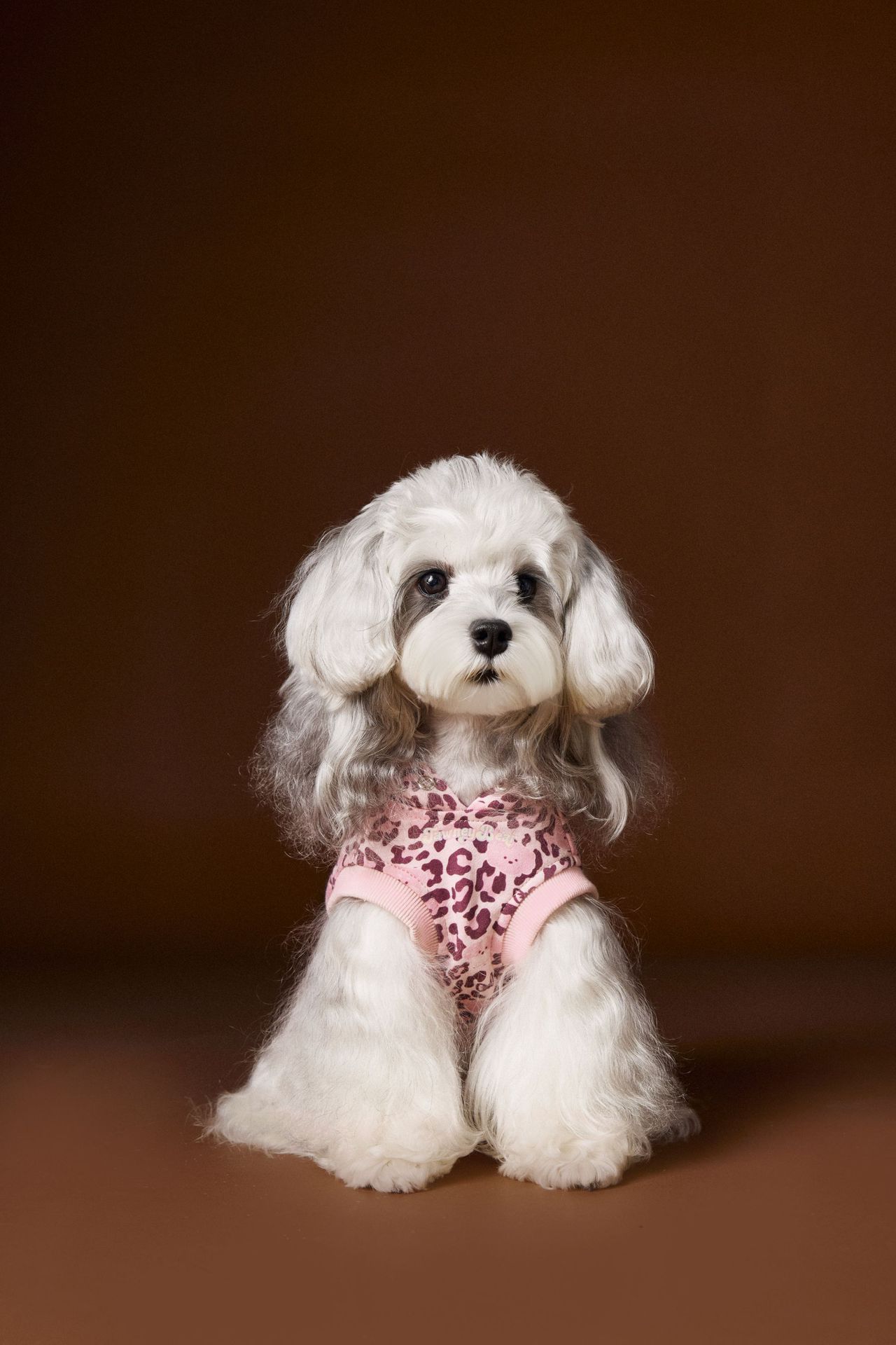 KFX-1495613 Leopard Print Hooded Sleeveless Sweater for Pets in Coffee and Pink