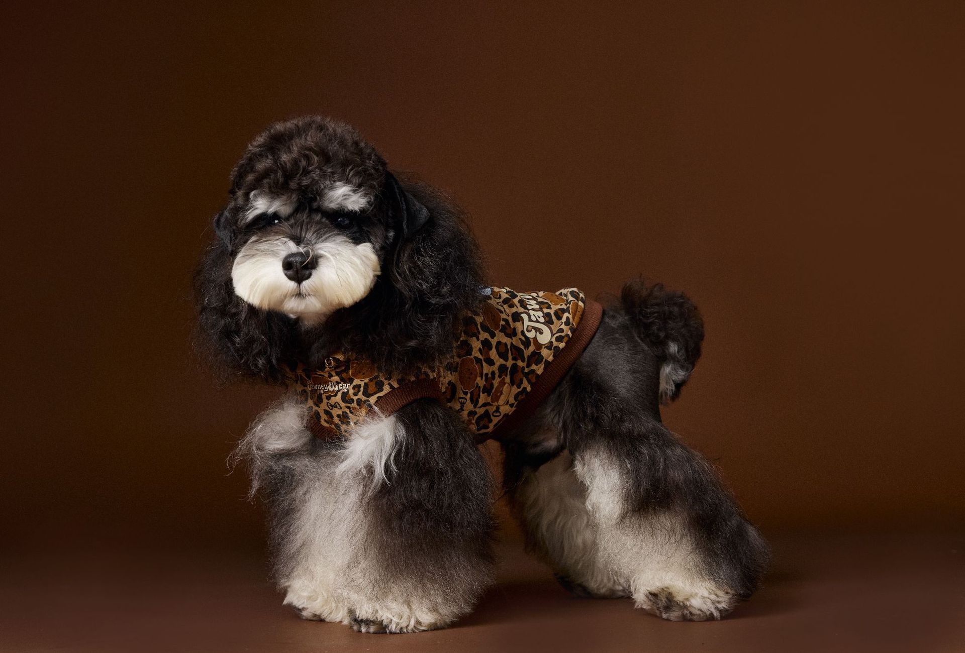 KFX-1495613 Leopard Print Hooded Sleeveless Sweater for Pets in Coffee and Pink