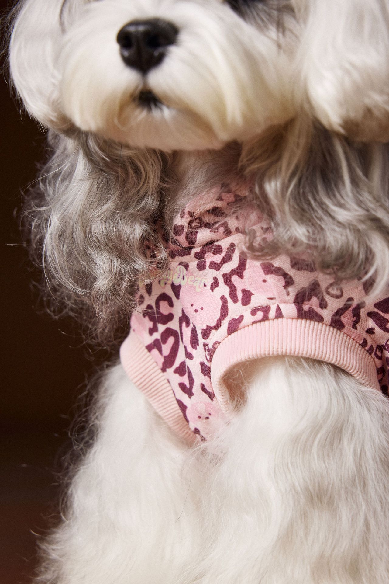 KFX-1495613 Leopard Print Hooded Sleeveless Sweater for Pets in Coffee and Pink
