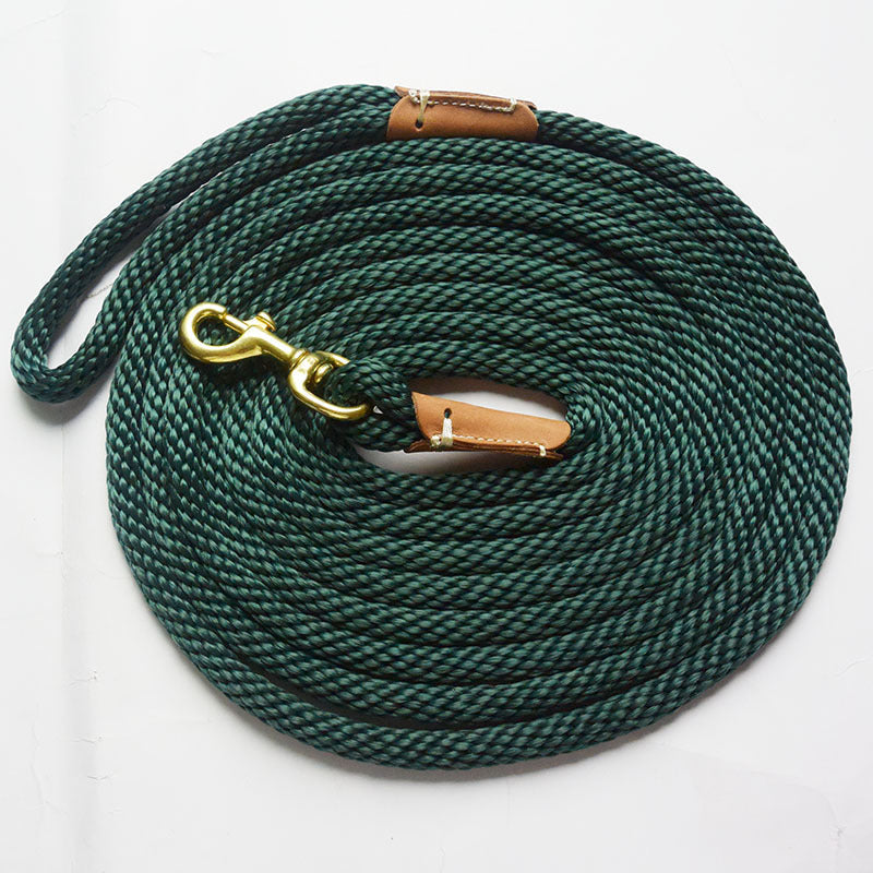 KFX-1496637 Durable Nylon Pet Traction Rope in Blue, Brown, and Green