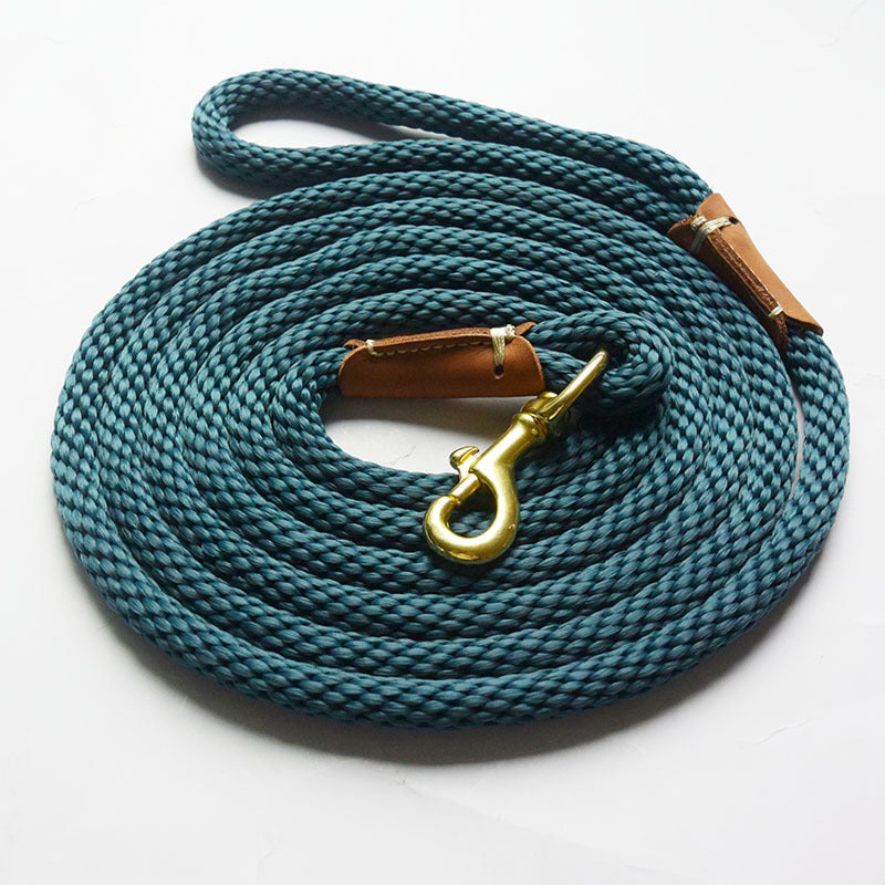 KFX-1496637 Durable Nylon Pet Traction Rope in Blue, Brown, and Green