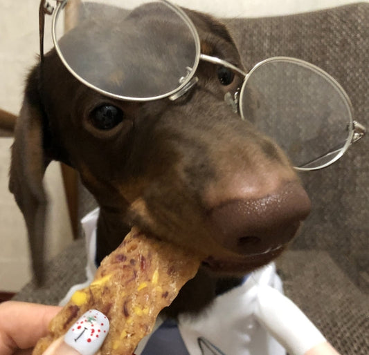 KFX-1501373 Dachshund Doctor Funny Costume - Polyester Pet Outfit in Various Sizes