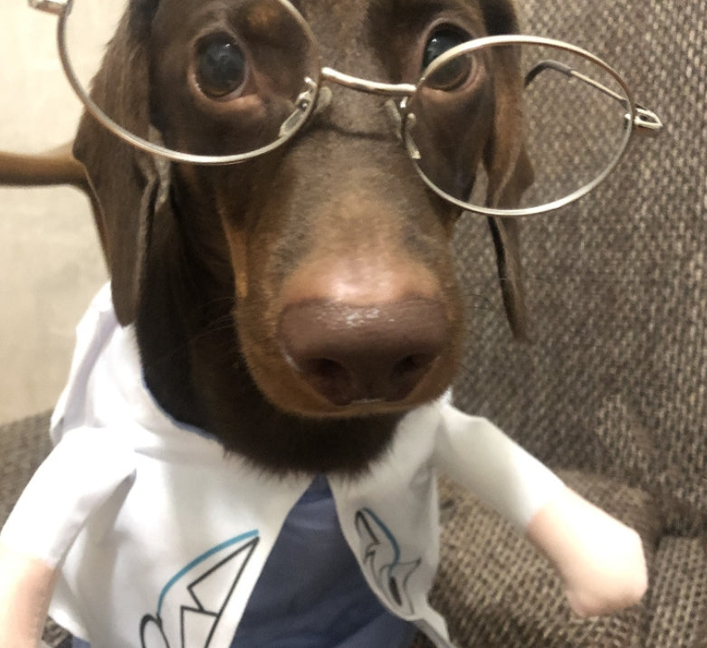 KFX-1501373 Dachshund Doctor Funny Costume - Polyester Pet Outfit in Various Sizes