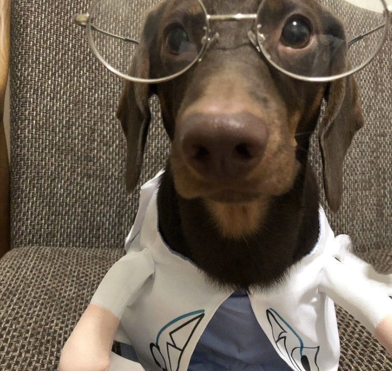 KFX-1501373 Dachshund Doctor Funny Costume - Polyester Pet Outfit in Various Sizes
