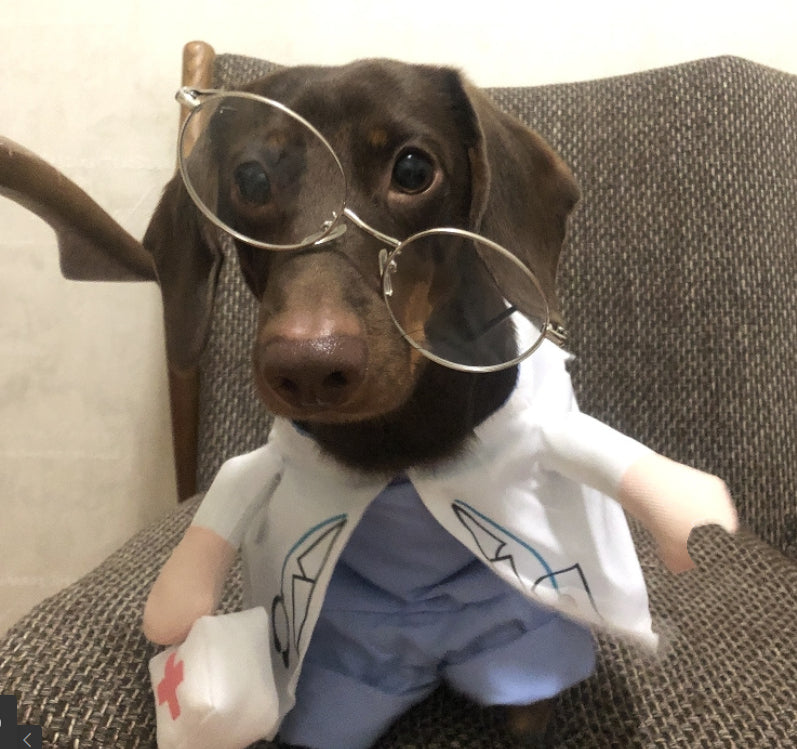 KFX-1501373 Dachshund Doctor Funny Costume - Polyester Pet Outfit in Various Sizes