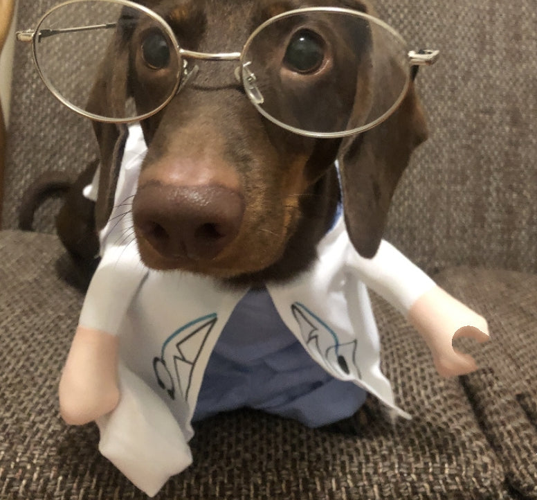 KFX-1501373 Dachshund Doctor Funny Costume - Polyester Pet Outfit in Various Sizes
