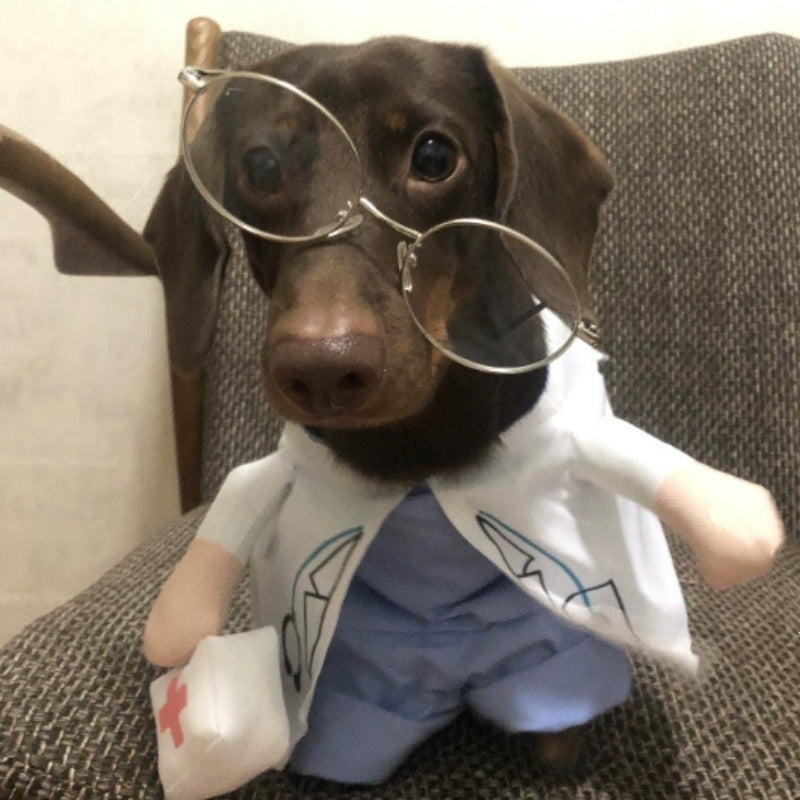 KFX-1501373 Dachshund Doctor Funny Costume - Polyester Pet Outfit in Various Sizes