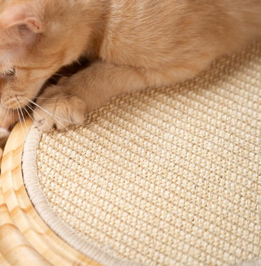 KFX-1502781 Solid Wood Cat Nest for Playful Pets - Minimalist Design