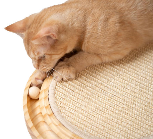KFX-1502781 Solid Wood Cat Nest for Playful Pets - Minimalist Design