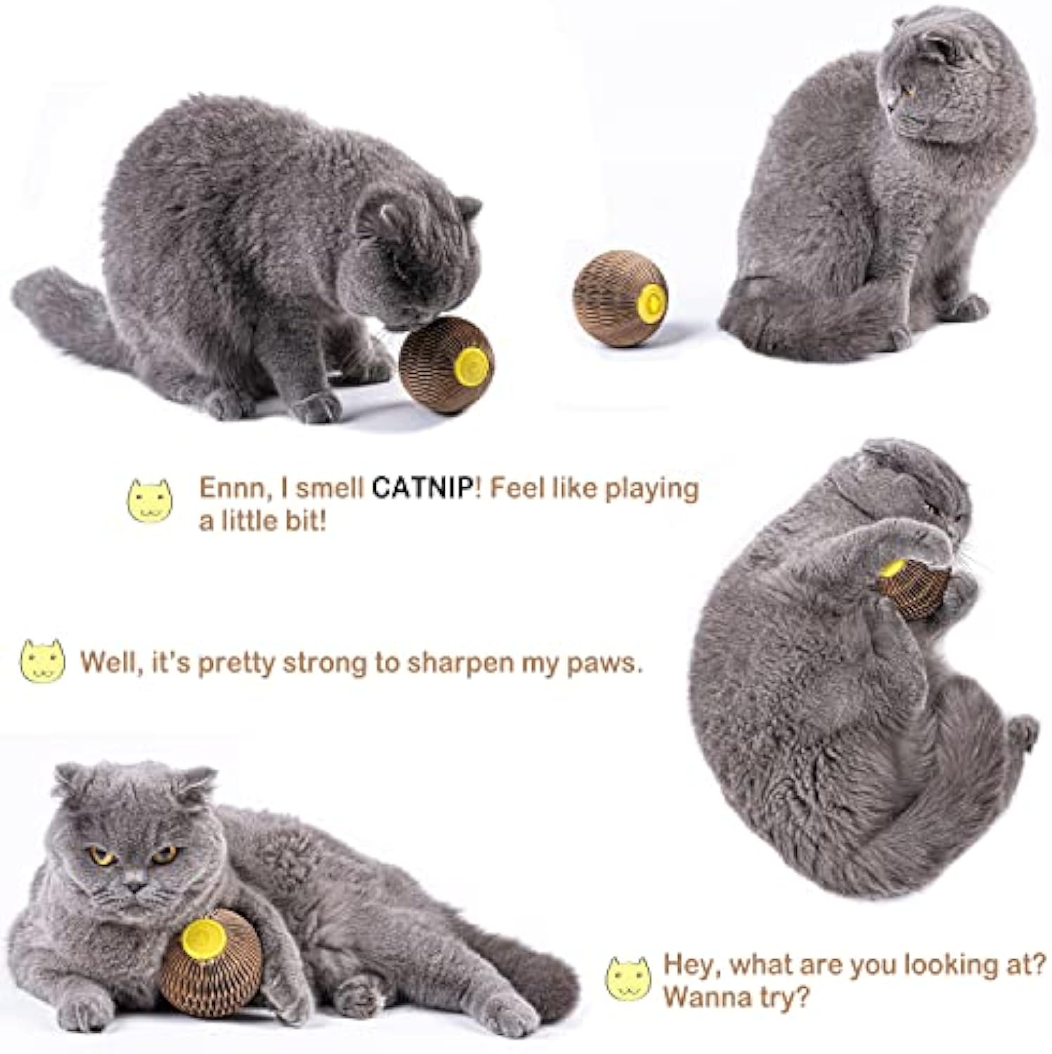 KFX-1504061 Catnip Scratch Ball Toy for Cats - Eco-Friendly Refillable Natural Catnip, Combines Scratching and Playing, Reduces Obesity and Loneliness