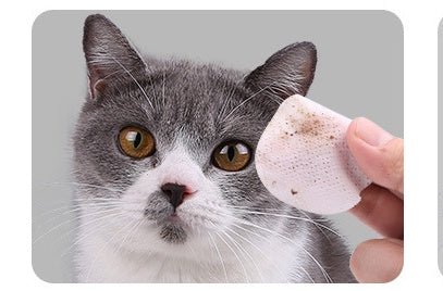 KFX-1504445 Gentle Tear Stain Remover Wipes for Cats – Hygienic Eye, Ear, and Tooth Cleaning Pads