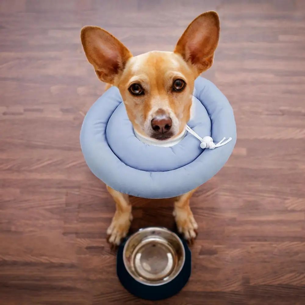 KFX-1504573 Adjustable Elizabethan Collar for Cats and Dogs - Waterproof Recovery Cone for Wound Healing