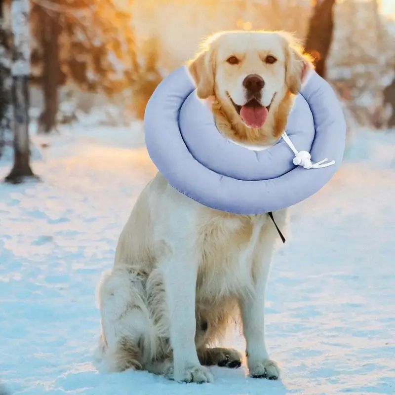 KFX-1504573 Adjustable Elizabethan Collar for Cats and Dogs - Waterproof Recovery Cone for Wound Healing