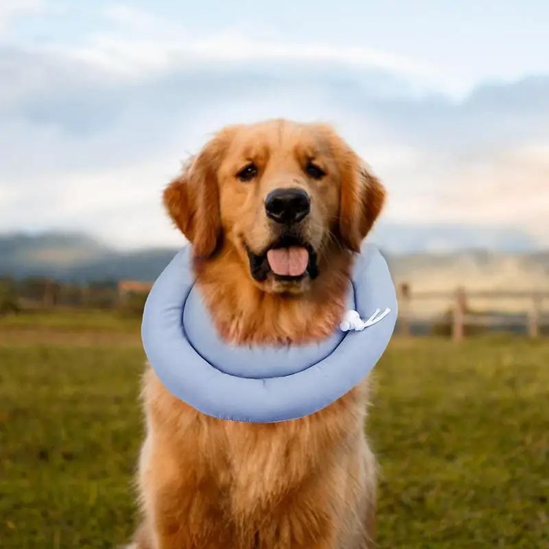 KFX-1504573 Adjustable Elizabethan Collar for Cats and Dogs - Waterproof Recovery Cone for Wound Healing