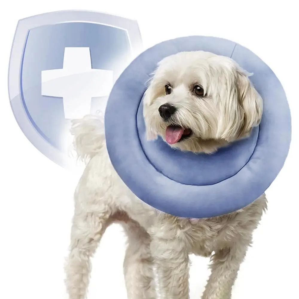 KFX-1504573 Adjustable Elizabethan Collar for Cats and Dogs - Waterproof Recovery Cone for Wound Healing