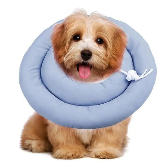 KFX-1504573 Adjustable Elizabethan Collar for Cats and Dogs - Waterproof Recovery Cone for Wound Healing