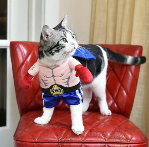 KFX-1509949 Cat Boxer Costume for Adults - Various Sizes Available