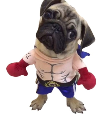 KFX-1509949 Cat Boxer Costume for Adults - Various Sizes Available