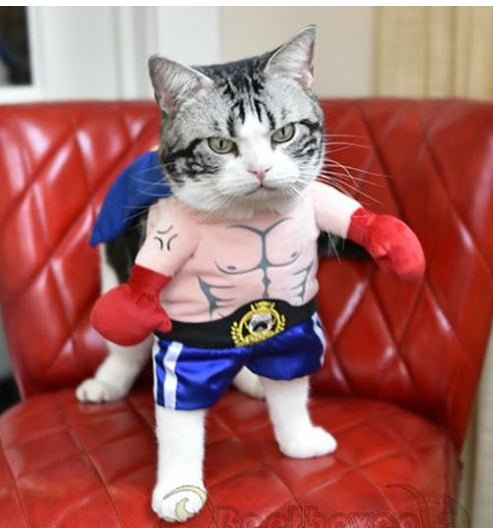 KFX-1509949 Cat Boxer Costume for Adults - Various Sizes Available