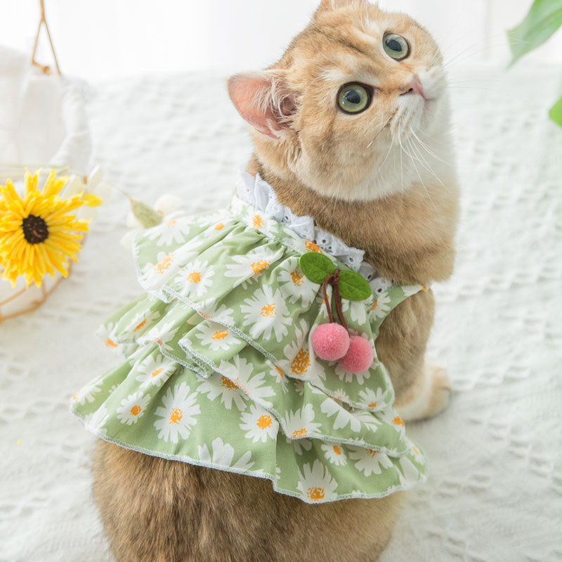 KFX-1510717 Daisy Print Summer Cat Suspender Dress in Green - Various Sizes Available