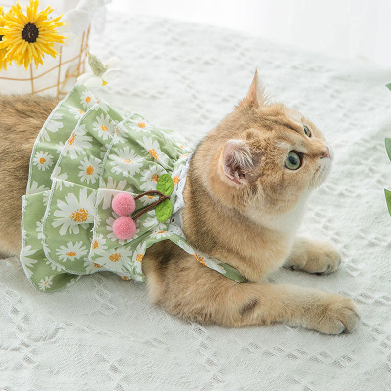 KFX-1510717 Daisy Print Summer Cat Suspender Dress in Green - Various Sizes Available