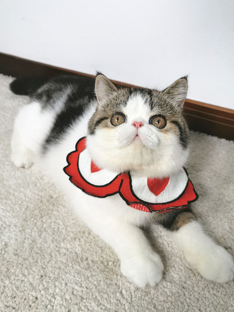 KFX-1515709 Cute Pet Scarf Collar for Small Dogs and Cats, Size S/L (20-40cm)