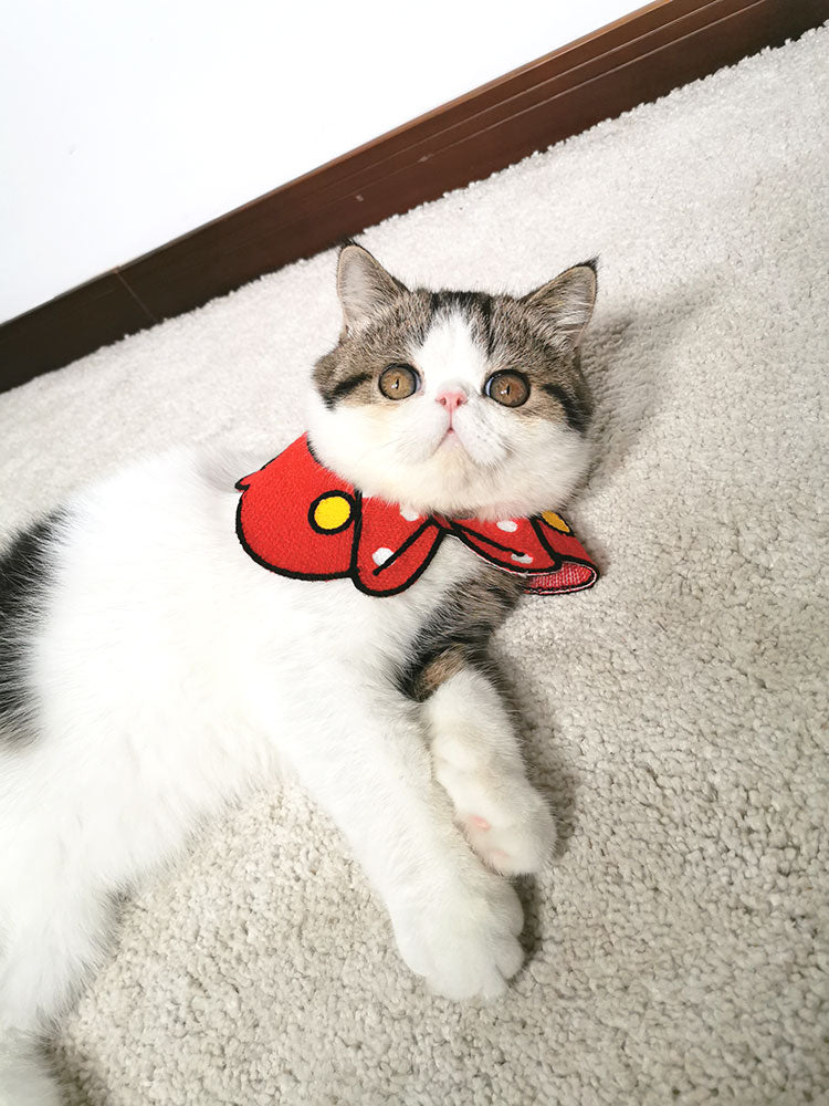 KFX-1515709 Cute Pet Scarf Collar for Small Dogs and Cats, Size S/L (20-40cm)