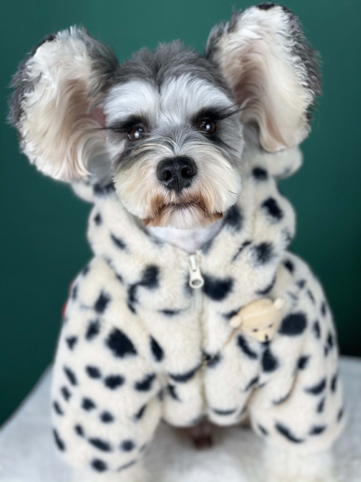 KFX-1522237 Warm Spotted Plush Coat for Dogs - Thick Coral Fleece, Autumn & Winter Friendly