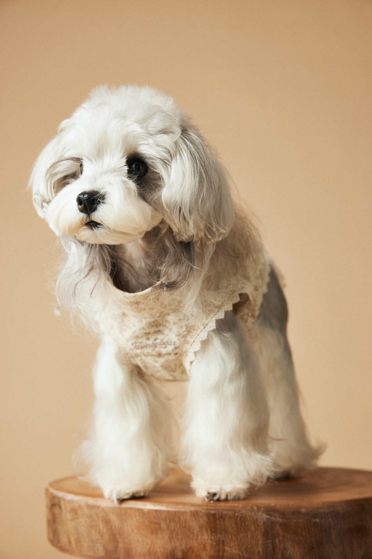 KFX-1528381 Sleeveless Cotton Princess Style Dress for Pets - Teddy Schnauzer, Bichon, Yorkshire Skirt