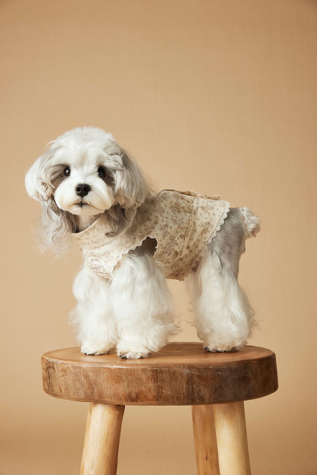 KFX-1528381 Sleeveless Cotton Princess Style Dress for Pets - Teddy Schnauzer, Bichon, Yorkshire Skirt