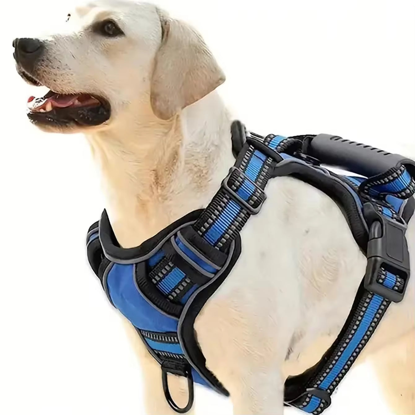 KFX-1529405 Multi-Functional Tactical Dog Harness Set with Adjustable Strap, Car Seat Belt, Dog Bowl, and Eco-Friendly Trash Bags