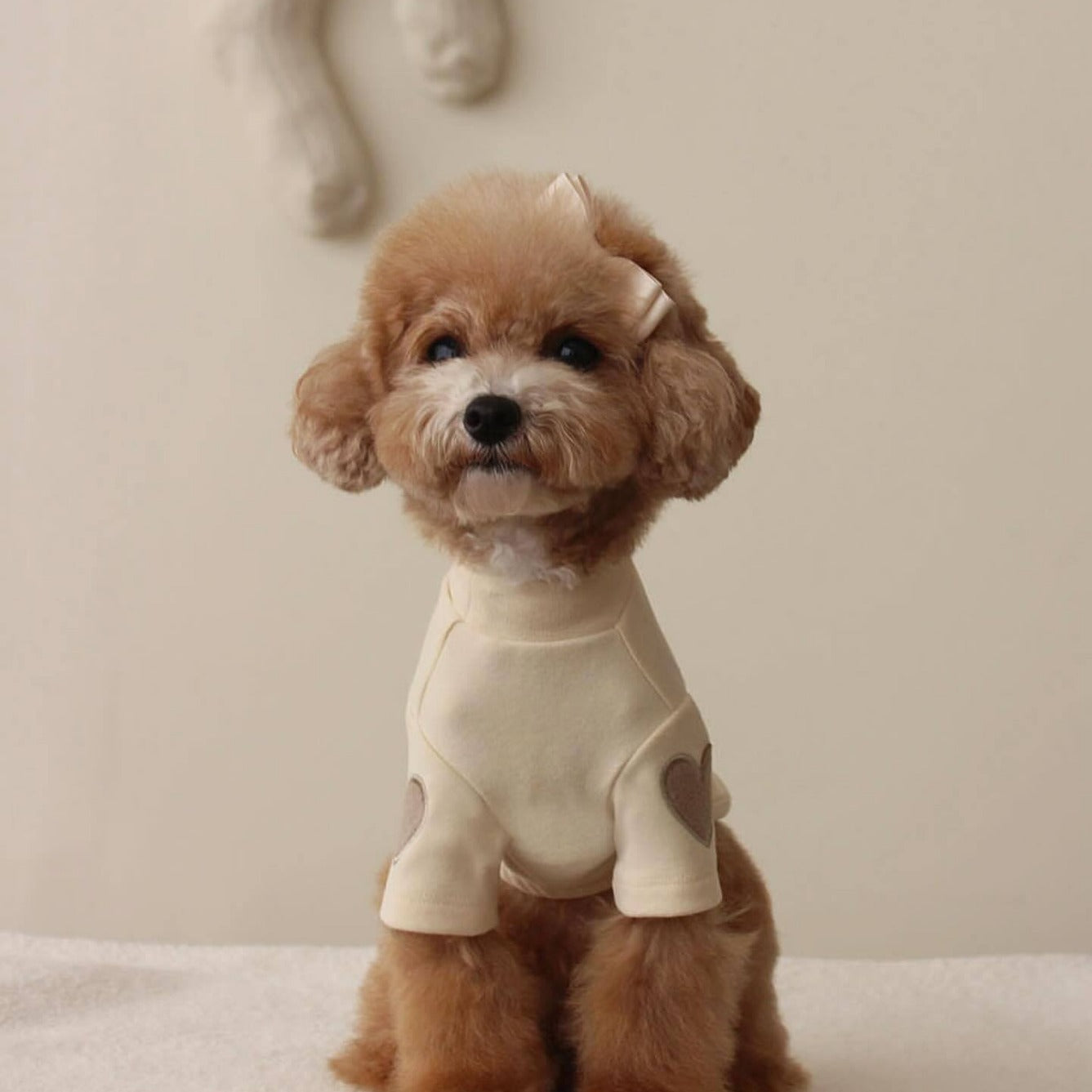 KFX-1535165 Autumn and Winter Base Embroidery Sweater for Dogs in Beige, Pink, Dark Green, and Brown