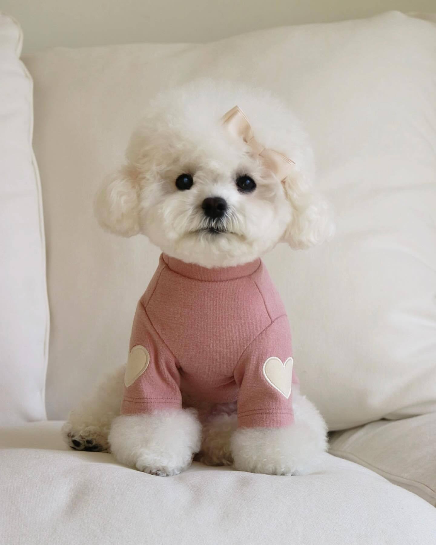 KFX-1535165 Autumn and Winter Base Embroidery Sweater for Dogs in Beige, Pink, Dark Green, and Brown
