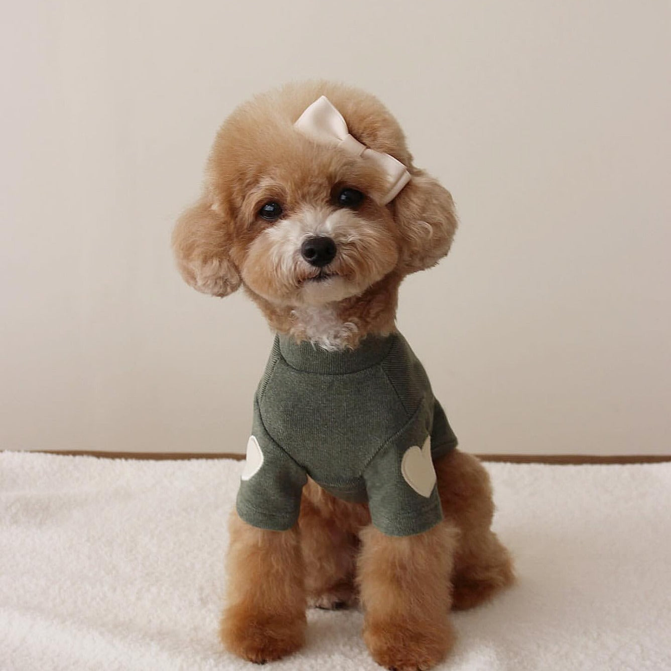 KFX-1535165 Autumn and Winter Base Embroidery Sweater for Dogs in Beige, Pink, Dark Green, and Brown