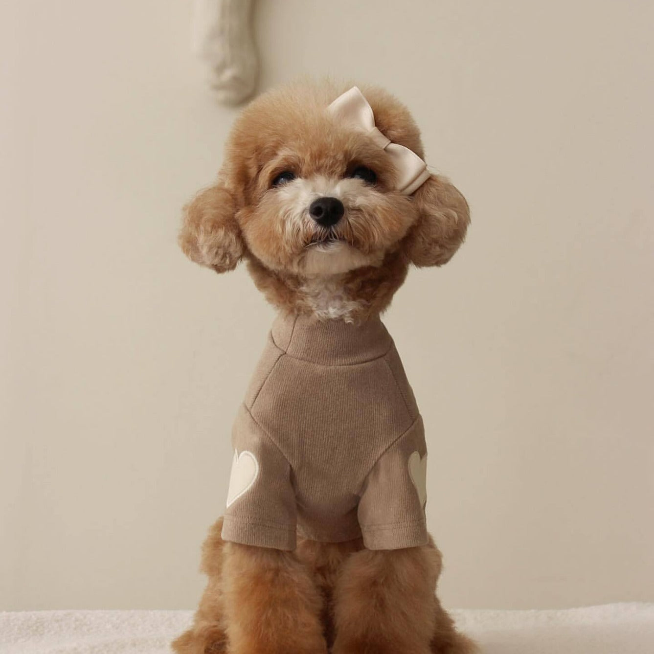 KFX-1535165 Autumn and Winter Base Embroidery Sweater for Dogs in Beige, Pink, Dark Green, and Brown