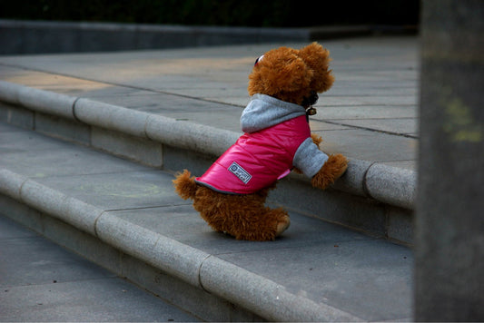KFX-1535933 Casual Cotton Vest for Dogs - Perfect for Autumn and Winter Wear