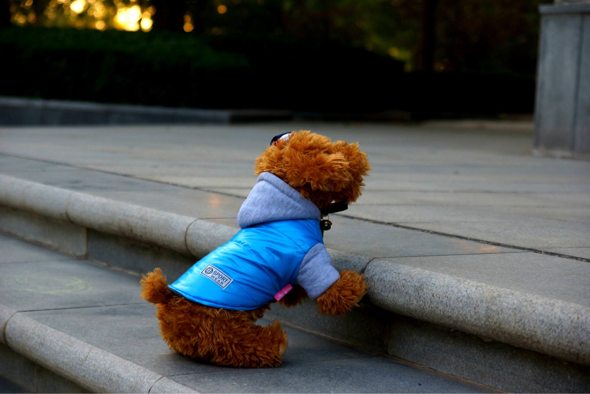 KFX-1535933 Casual Cotton Vest for Dogs - Perfect for Autumn and Winter Wear